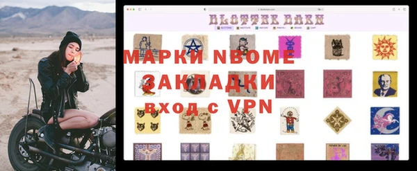 индика Вязники