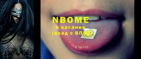 индика Вязники