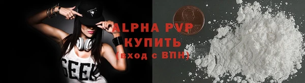 индика Вязники