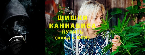 индика Вязники