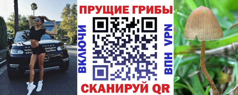 OMG рабочий сайт  Слюдянка  Галлюциногенные грибы прущие грибы 