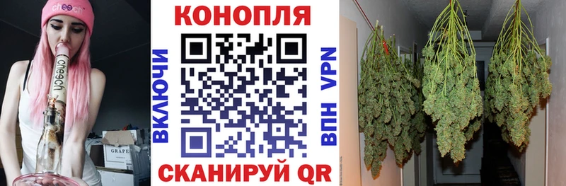 Марихуана гибрид  Слюдянка 